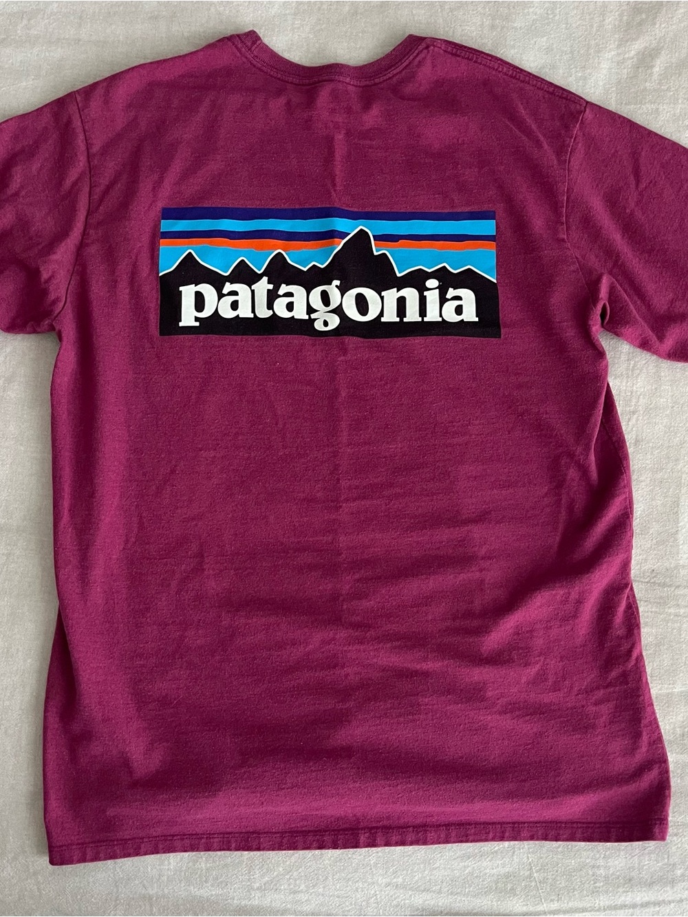 Patagonia Short-Sleeve Logo Tee